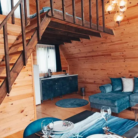 Villa Cinarhan Ağva