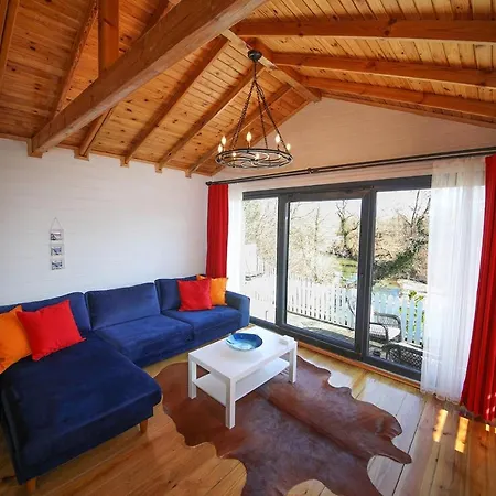 Cinarhan * アグヴァ